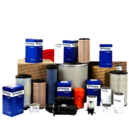 PERKINS-removebg-preview